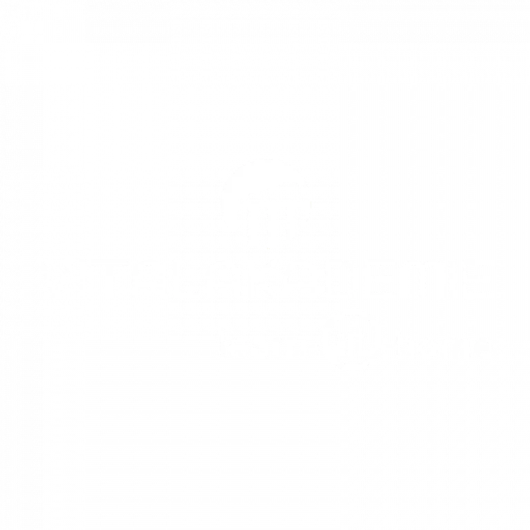 Vitalakademie learn@home Logo in weiß